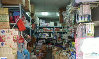 下摄司五分店峨嵋大市场日用品批发部转让 机遇与前景分析